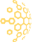 LomaNedoPro